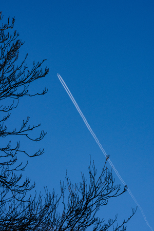 airplane in the blue sky leaving the trails behind, looking through treesの写真素材