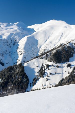 Winter landscape. Rodnei Mountaisn,
 Transylvania, Romaniaの写真素材