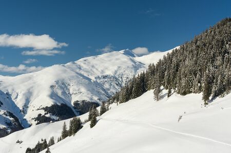 Winter landscape. Rodnei Mountaisn,
 Transylvania, Romaniaの写真素材