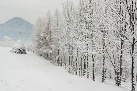 Winter In Transylvania Romania - Rural Sceneの写真素材