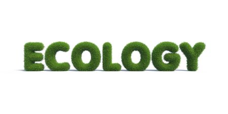 ecology green grass in the form of letters