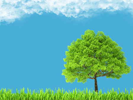 Green environment and tree on blue sky  natural backgroundの写真素材