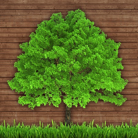 green tree and fresh grass on a wooden boards background  surround backgroundの写真素材