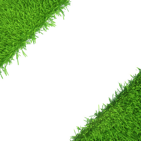 green grass isolated on white background  fresh green grassの写真素材
