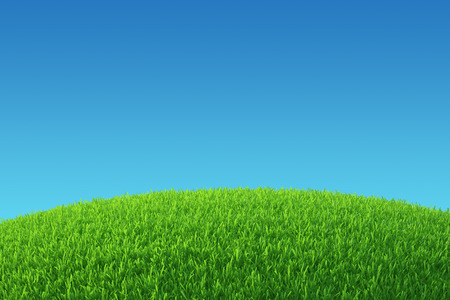 Green grass field  nature background  Empty Grass Field の写真素材