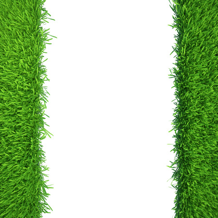 green grass isolated on white background  fresh green grassの写真素材