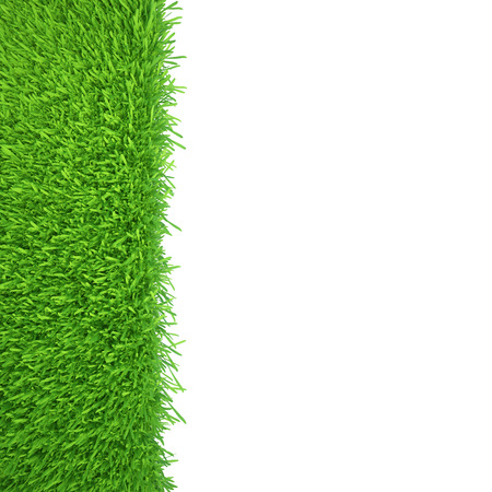 green grass isolated on white background  fresh green grassの写真素材