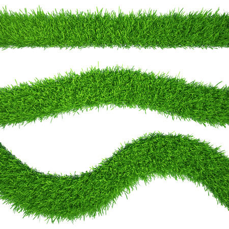 green grass isolated on white background  fresh green grassの写真素材