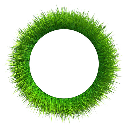 green grass isolated on white background  fresh green grassの写真素材