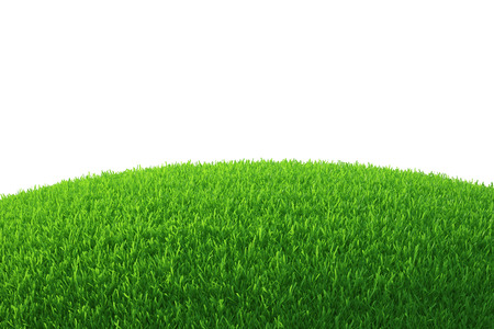 Green grass field  nature background  Empty Grass Field の写真素材