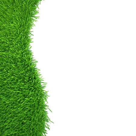green grass isolated on white background  fresh green grassの写真素材
