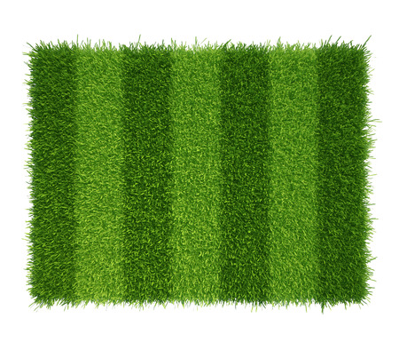 football grass field  green grass soccer fieldの写真素材