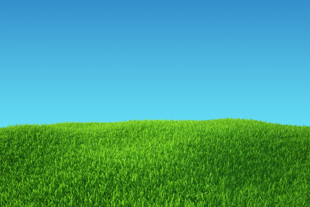 Green grass field  nature background  Empty Grass Field の写真素材
