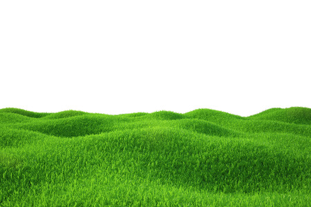 Green grass field  nature background  Empty Grass Field の写真素材