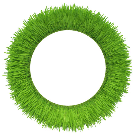 green grass isolated on white background  fresh green grassの写真素材