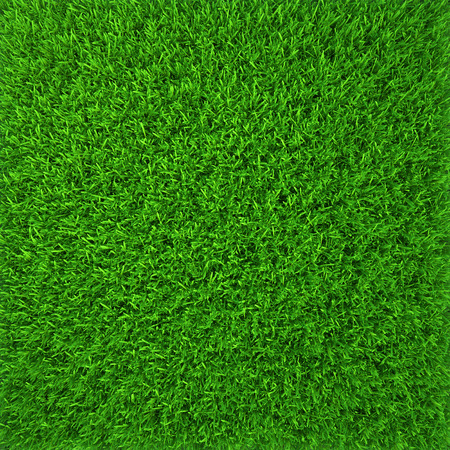 green grass  natural background texture  fresh spring green grass の写真素材