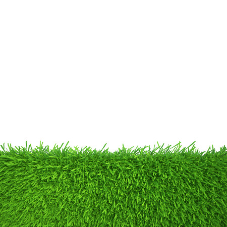 green grass  natural background texture  fresh spring green grass の写真素材