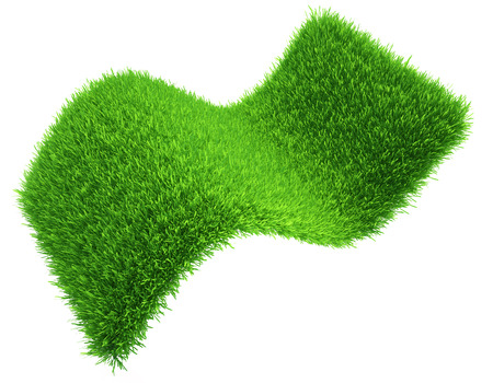realistic grass  a piece of green lawn  isolated on white background の写真素材
