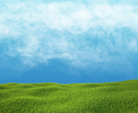 Field of green grass and sky with cloudsの写真素材