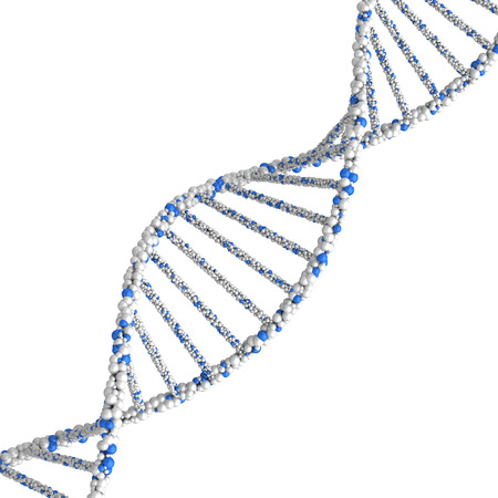 DNA molecule. 3d render on a white background.の写真素材