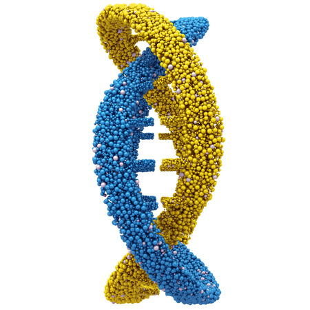 DNA molecules. 3d render on a white background.の写真素材