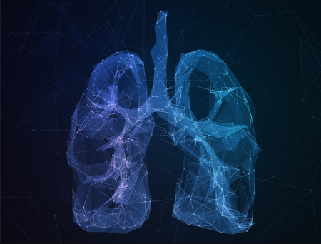 The abstract image of human lungs in the form of lines of communication network.の写真素材
