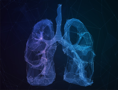 The abstract image of human lungs in the form of lines of communication network.の写真素材