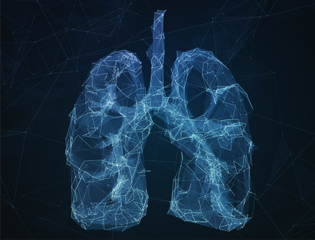 The abstract image of human lungs in the form of lines of communication network.の写真素材