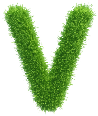 Vector capital letter V from grass on white background.のイラスト素材