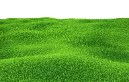 Green grass growing on hills with white background top view. 3d render