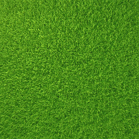 Green grass.の写真素材