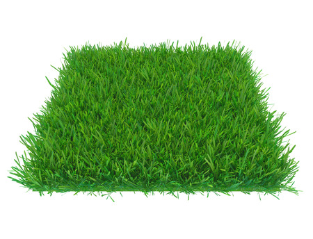 Empty green grass square piece. 3d renderingの写真素材