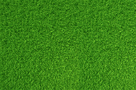 Green grass. natural background texture. high resolution. 3d renderingの写真素材