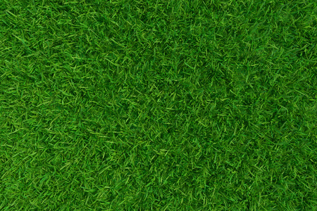 Green grass. background texture. fresh spring green grass. 3d renderingの写真素材