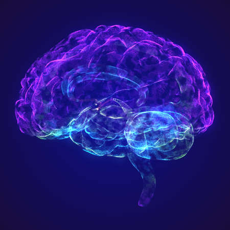 Human brain. Glowing blue light line particles of human brain. 3d rendering.