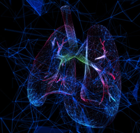 Human lungs and trachea. Organ anatomy. Pneumonia, organ transplant, tuberculosis, asthma. Innovative medical technologies.の写真素材
