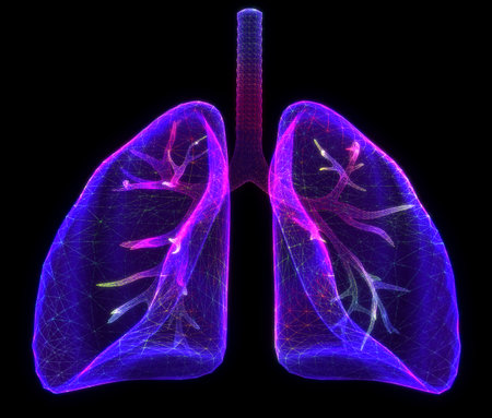 Lung. Abstract 3d lungs. Human health, respiratory system, pneumonia, biological sciences, smokers asthma, healthcare concept. Anatomy of internal organsの写真素材