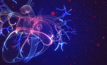 Heart. 3D human organ on background. Medicine concept with geometry triangleの写真素材