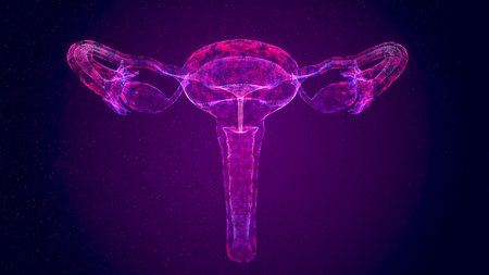 Futuristic glowing low polygonal female uterus organ hologram isolated on dark background. Abstract obstetrics and Gynecology concept. Modern wireframe mesh design. 3d illustrationの写真素材