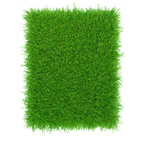 Grass texture background, Green lawn, Backyard for background. 3d renderingの写真素材