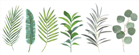 watercolor hand drawn Set of tropical leaves. vector design conceptのイラスト素材