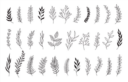 set of hand drawn flowers, branches, leaves. vector illustration. design for invitation, greeting cards, social mediaのイラスト素材