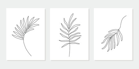 Vector set of hand drawn line tropical leaves illustrations, wall art minimalist floral plants prints, home decor posters, Mid Century Modern logo design elementsのイラスト素材