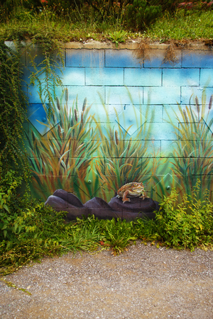 Big brown fairy-tale toad sitting on stone in grass, acryl painting .の写真素材