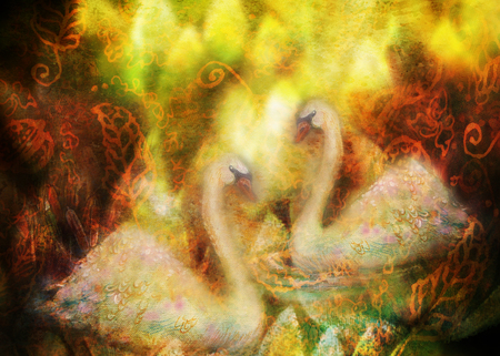 Graceful swans in love swimming together, illustration collage .の写真素材