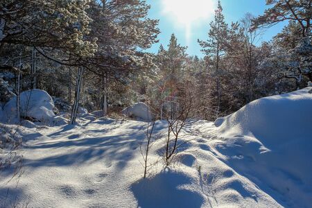 hiking in winter in Norway, hike to Preikestolen in winter, Stavanger, Norwayの写真素材