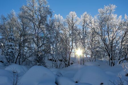 hiking in winter in Norway, hike to Preikestolen in winter, Stavanger, Norwayの写真素材