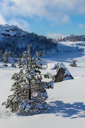 hiking in winter in Norway, hike to Preikestolen in winter, Stavanger, Norwayの写真素材