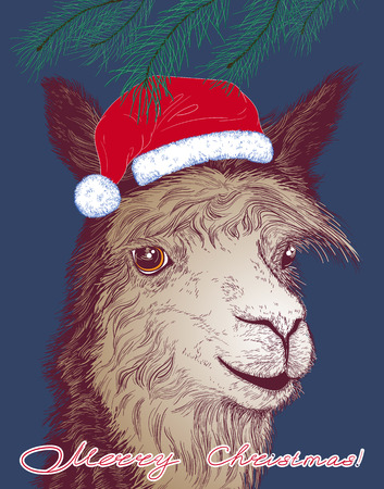 Christmas vector illustration with a cheerful alpaca in Santa Claus hatのイラスト素材