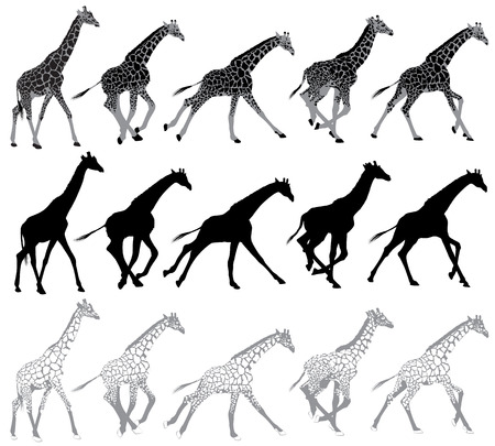 Set of running and walking giraffes Illustrationのイラスト素材